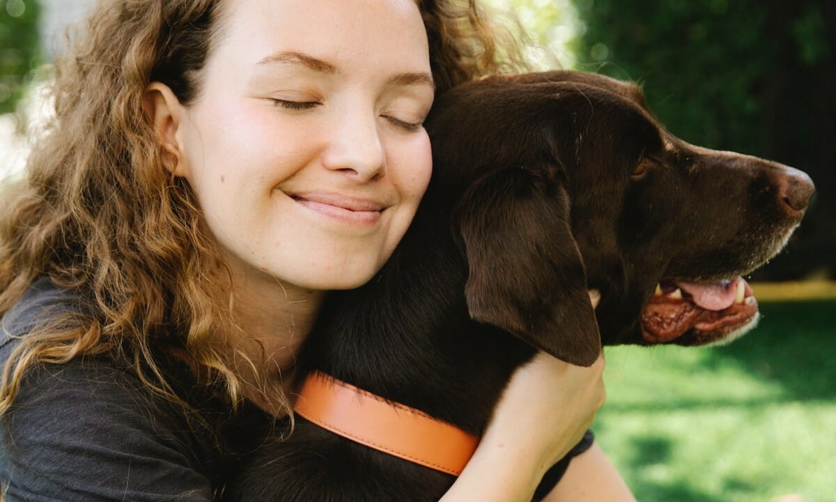 collare antiparassitario per la salute del nostro cane e anche del gatto