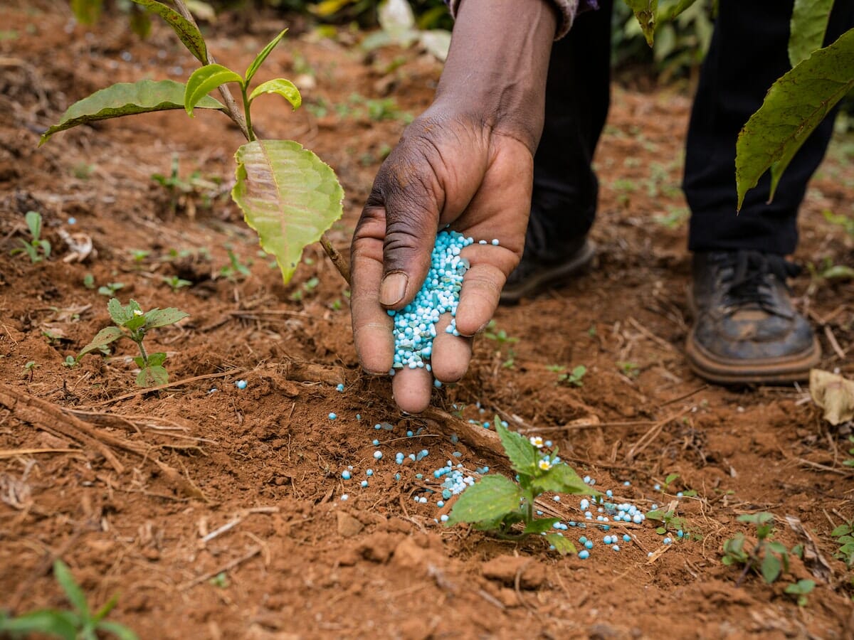 concimazione e fertilizzazione