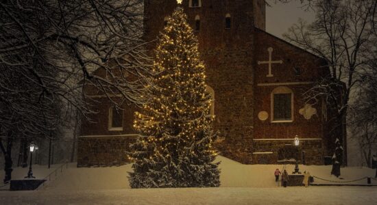 È l'albero di Natale più grande del Mondo