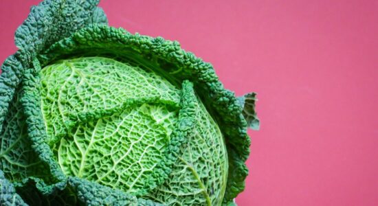 foglie di cavolo verza per mal di testa e dolori