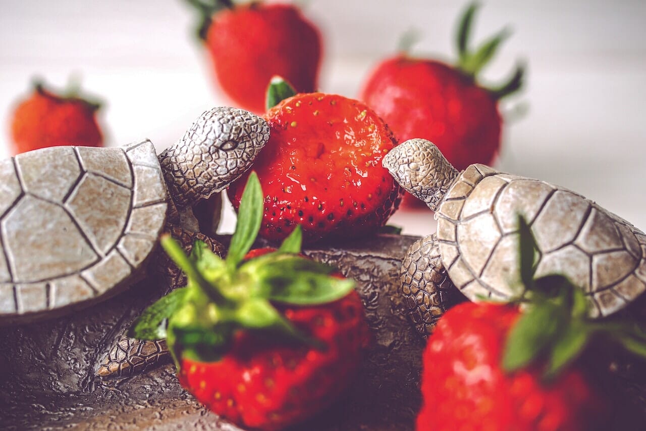 Fragole