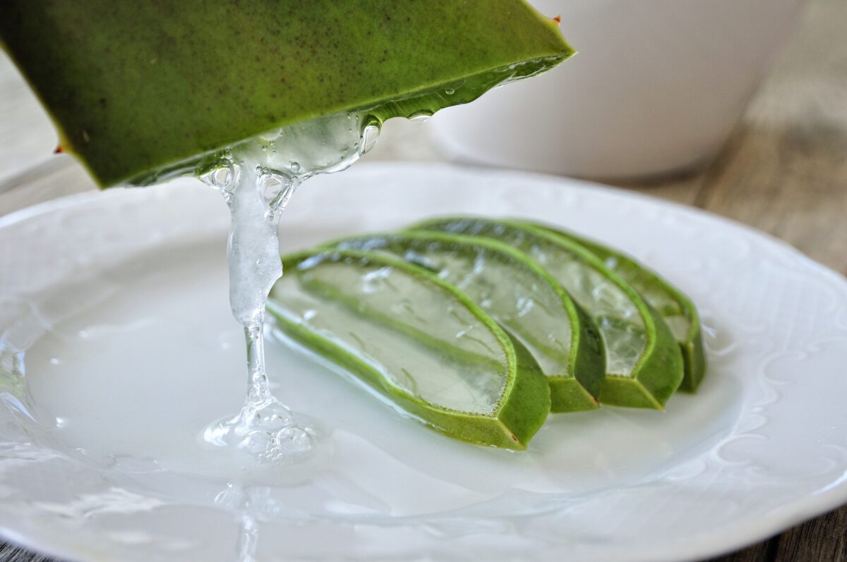 Il gelo di aloe vera come rimedio