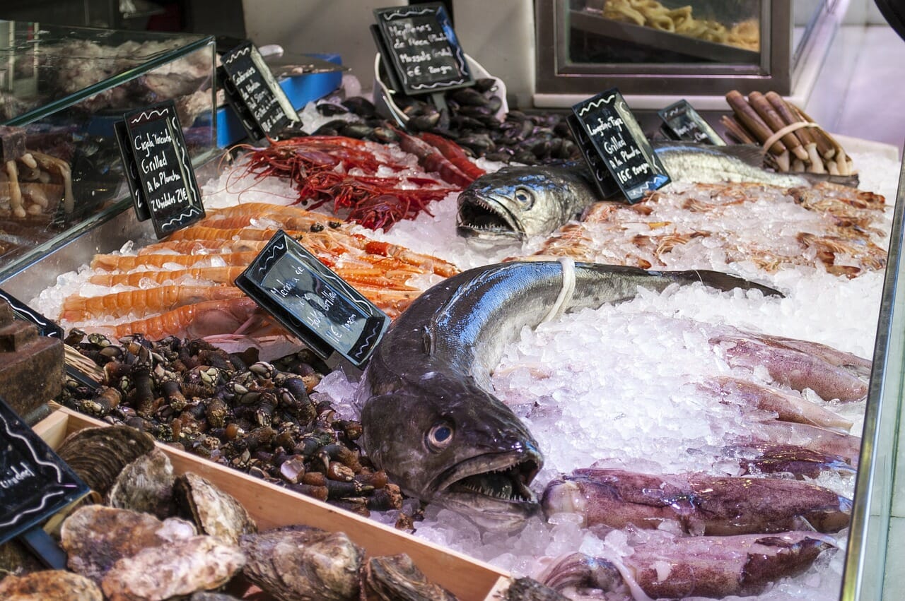 il pesce potrebbe fare proprio al caso nostro
