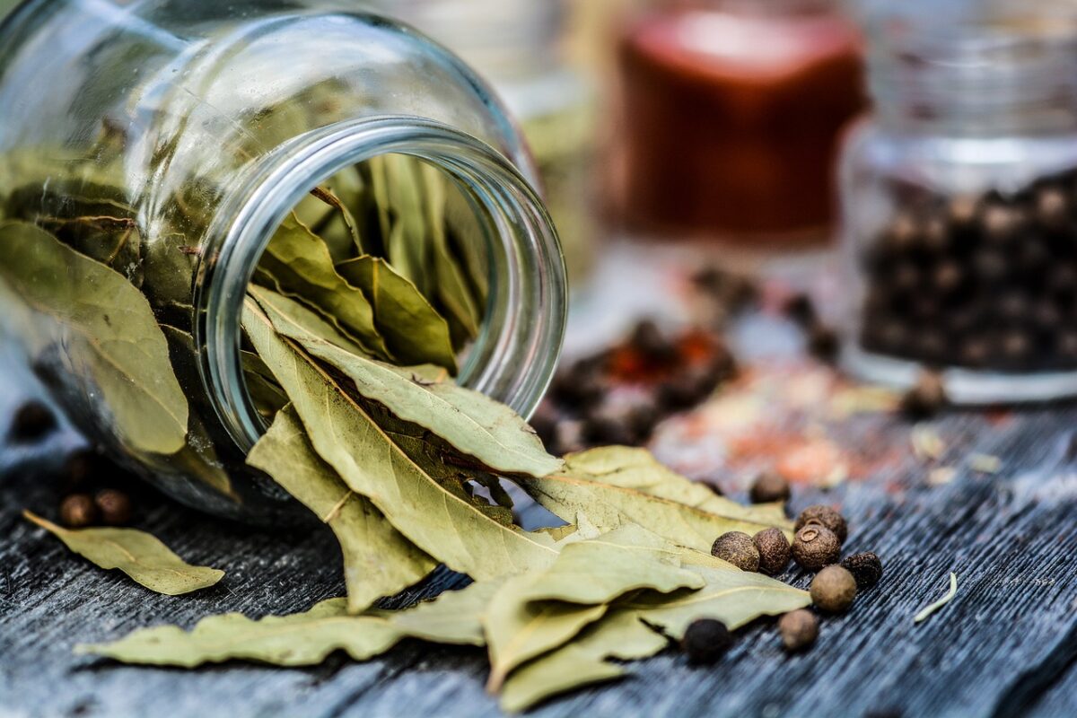 Infuso a base di alloro