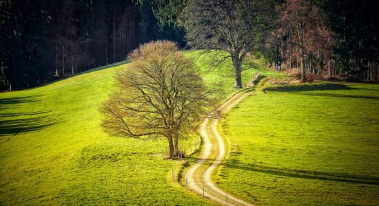 L'incantevole cittadina tra le colline