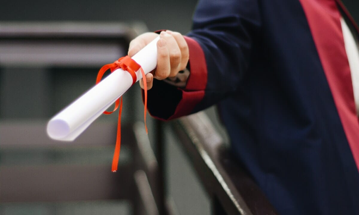 laurea per i profili di cat. D