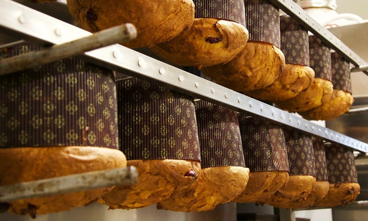 lievitazione del panettone