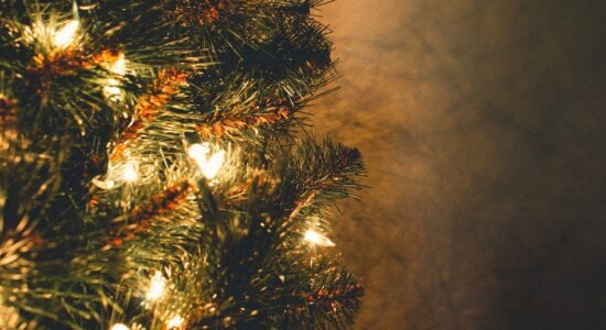 per chi usa queste luci nell’albero di Natale e a casa