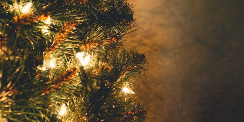 per chi usa queste luci nell’albero di Natale e a casa