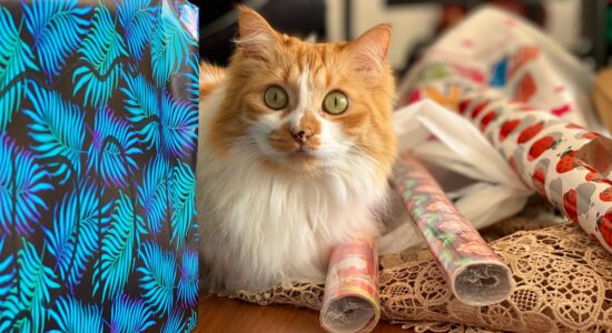 per gli amanti degli animali