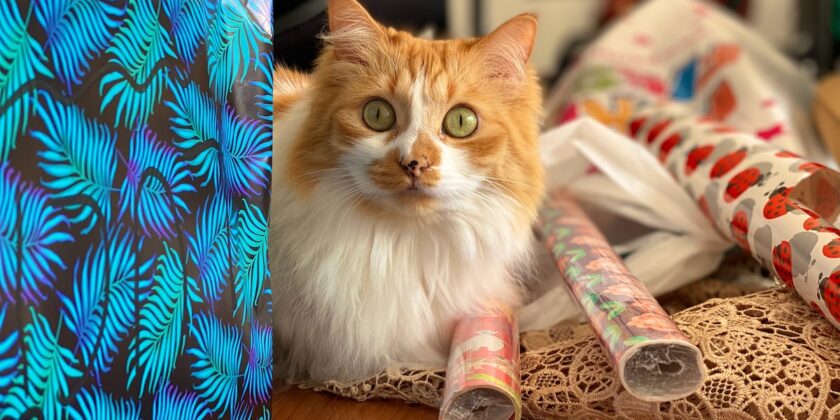 per gli amanti degli animali