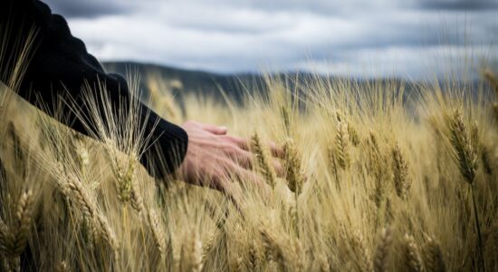 CNH Industrial, ribasso in arrivo per questo big del Ftse Mib