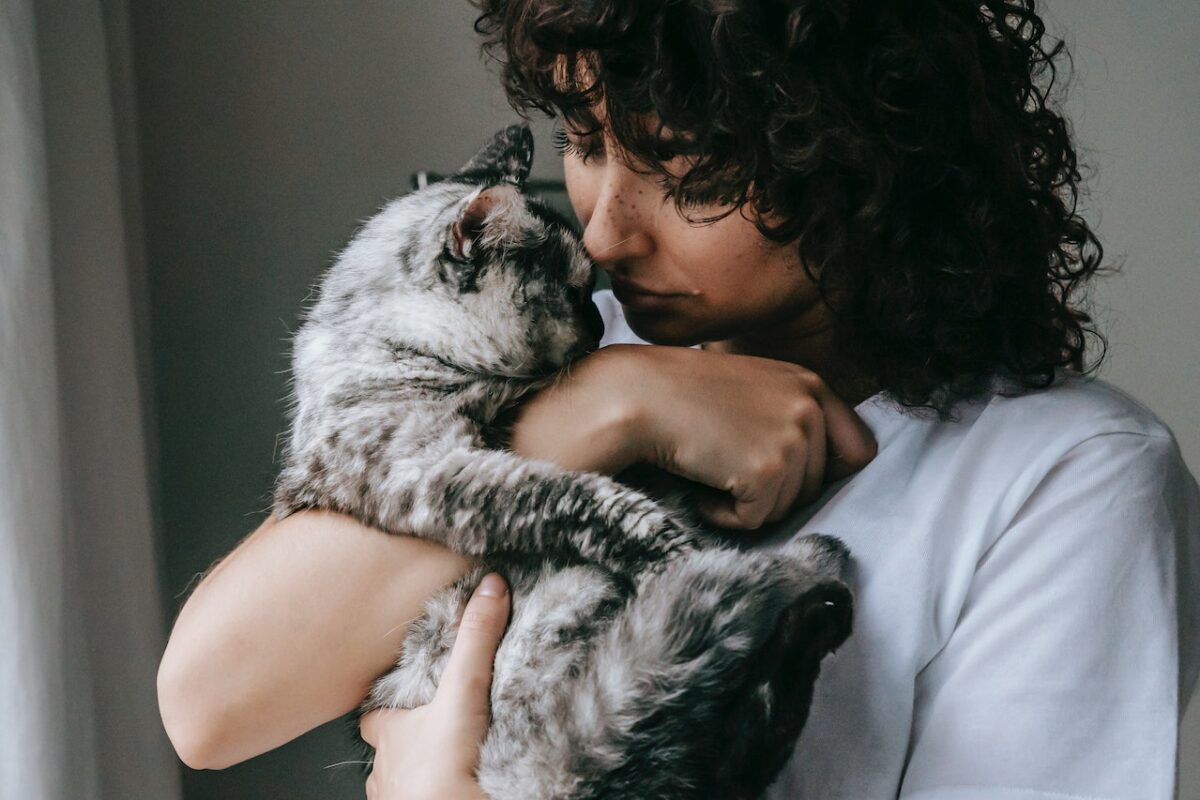 Piccoli accorgimenti per far star bene il gatto