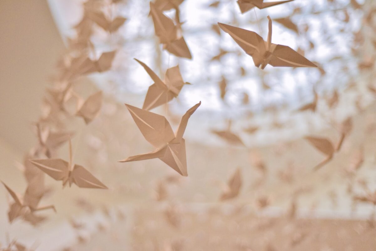 Possiamo realizzare degli origami