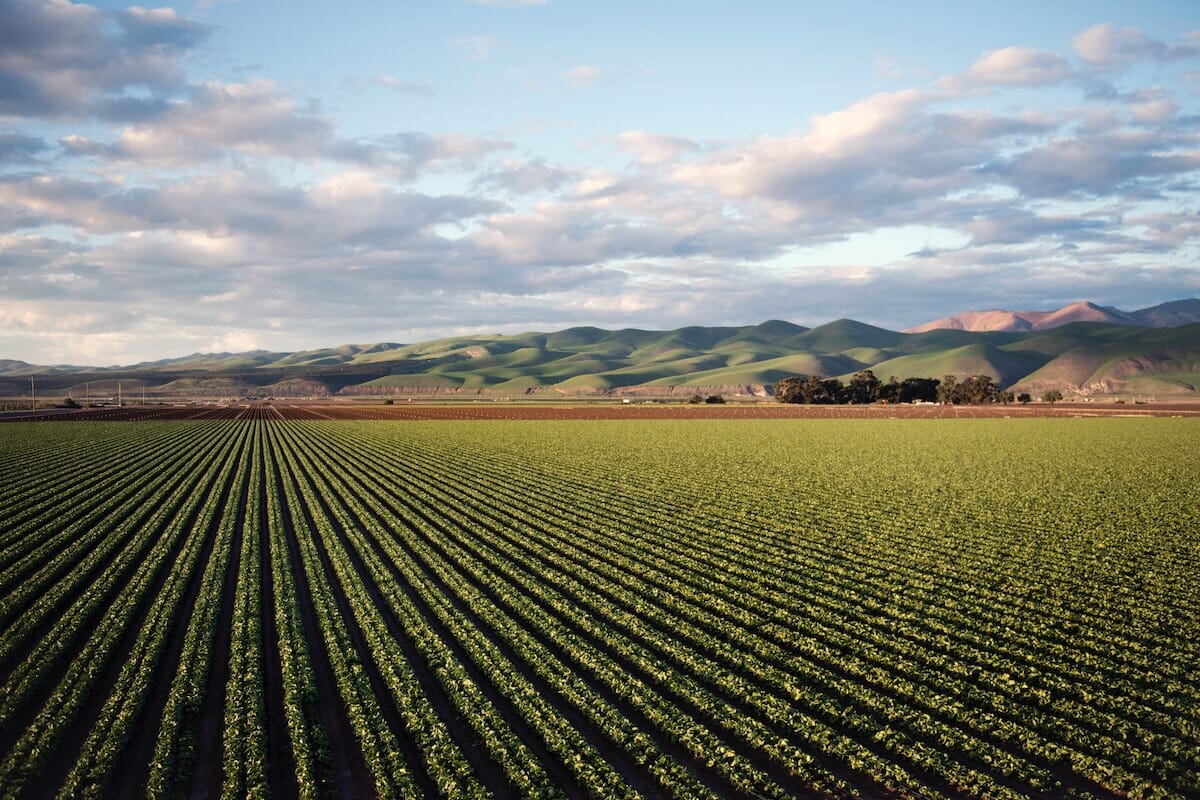 Possono accedere anche le imprese che operano nei comparti agricoltura
