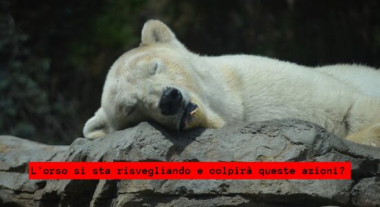 Dopo 5 mesi di incertezza un doppio colpo ribassista affossa queste azioni