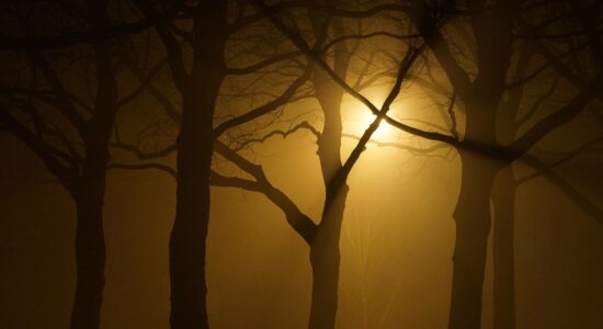 Obiettivi importanti per un titolo azionario