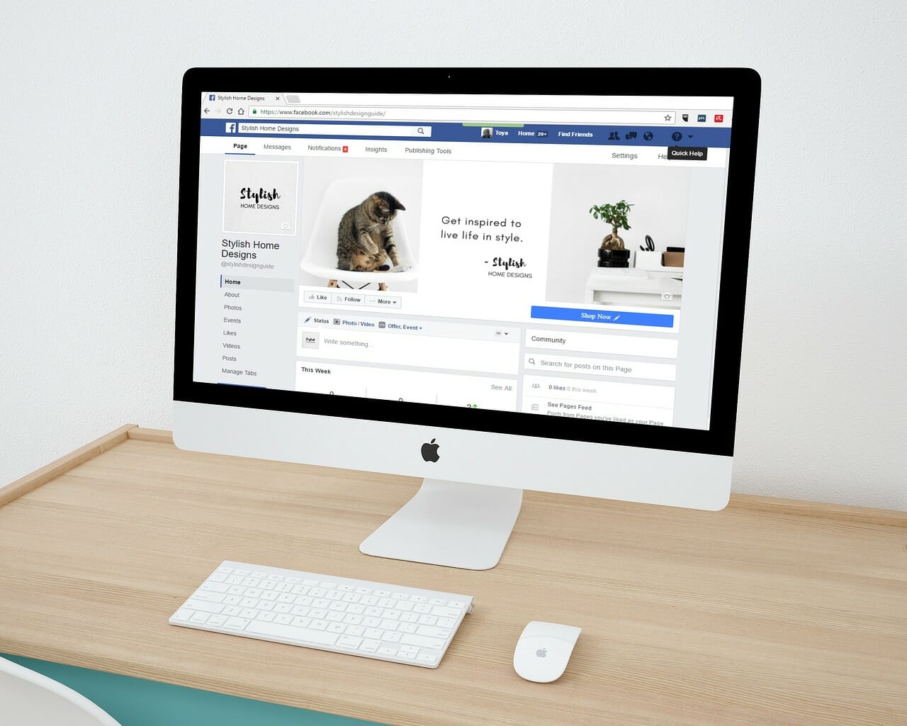 Voucher internet per piccole e medie imprese e professionisti