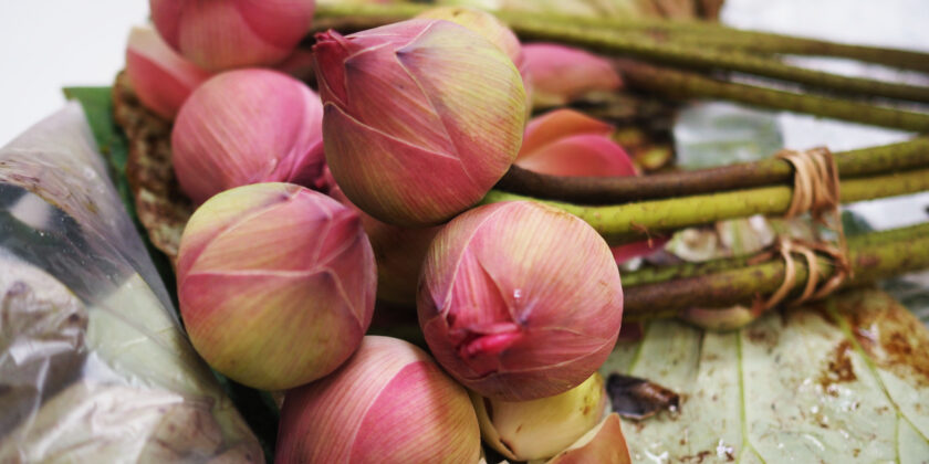  5 trucchi degli chef per avere carciofi sempre morbidi