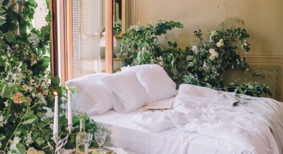 6 piante che non sapevi fossero perfette