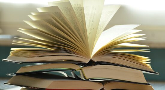 Alcuni libri in uscita nel nuovo anno assolutamente da leggere-proiezionidiborsa.it