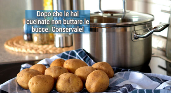 Chi butta le bucce di patate è uno sciocco