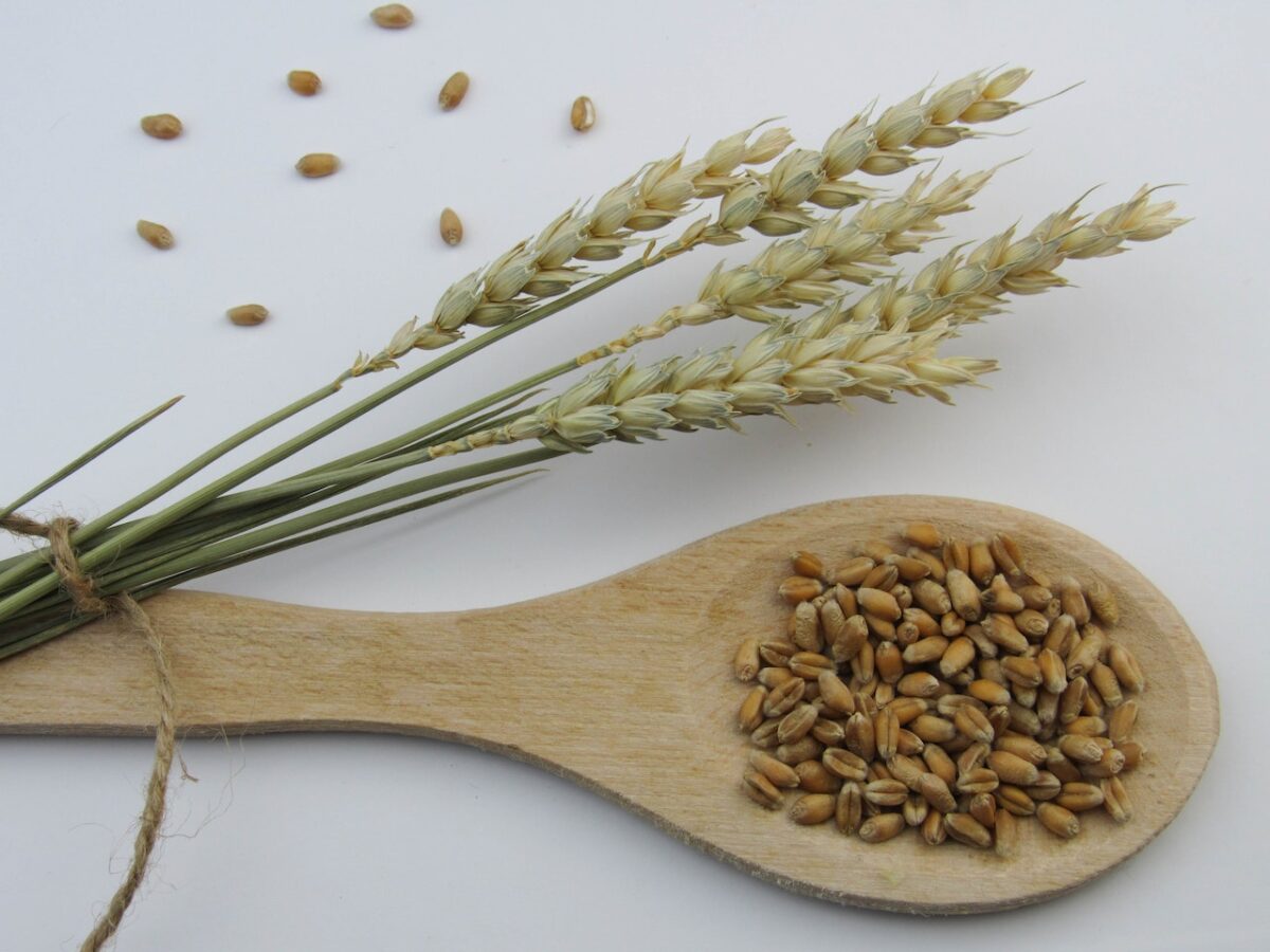 Ci serviranno 350 grammi di orzo-proiezionidiborsa.it