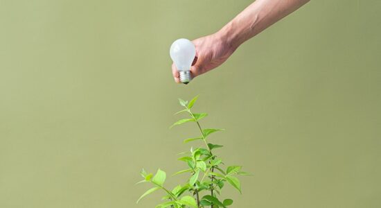 Far crescere le piante con la luce artificiale-proiezionidiborsa.it