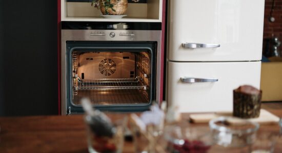 Forno statico o ventilato per cuocere i nostri cibi