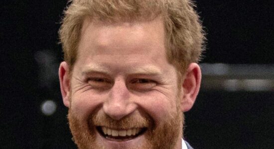 Harry il riservista, martedì 10 il libro-proiezionidiborsa.it
