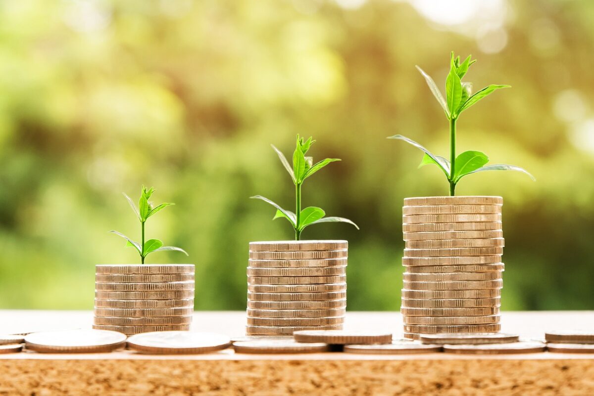 Il rendimento sarebbe del 2,39% lordo annuo