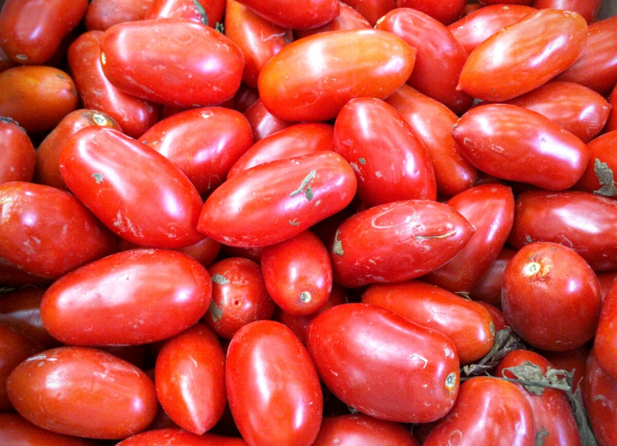 La scelta dei pomodori è molto importante