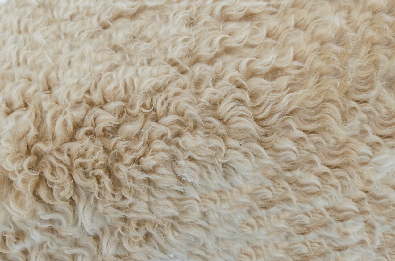Lana, non usare il percarbonato per pulirla