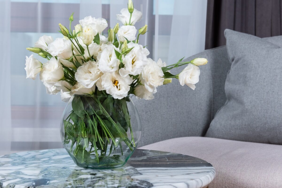 Lisianthus-proiezionidiborsa.it