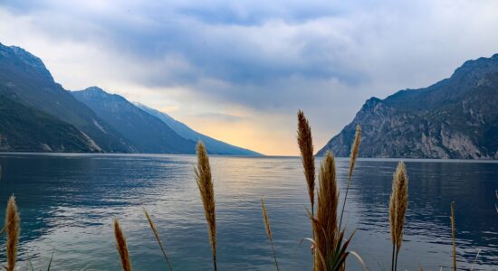 Lo sapevi che anche in uno dei nostri laghi potrebbe esserci un mostro