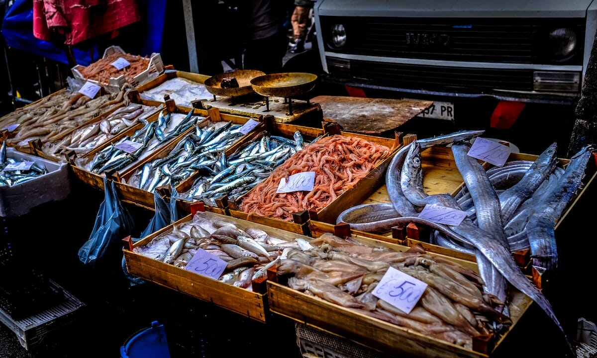 Pesce azzurro, molluschi e crostacei sono ricchi di iodio