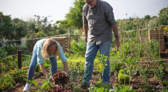 Quali sono i lavori da fare nell’orto