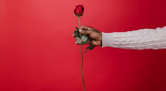 Quanto costa una rosa a gambo lungo-proiezionidiborsa.it