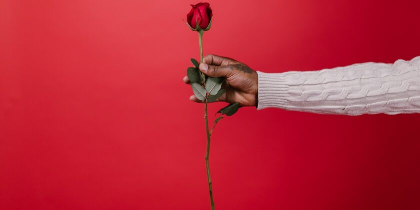 Quanto costa una rosa a gambo lungo-proiezionidiborsa.it
