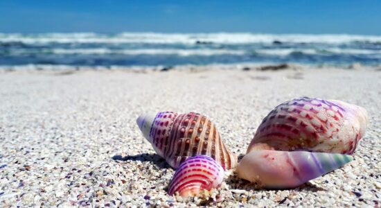 Questa spiaggia esotica non l’hai ancora visitata-proiezionidiborsa.it