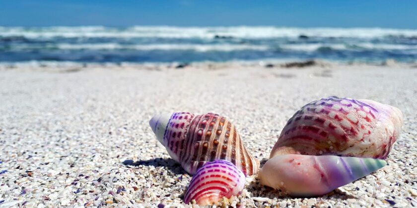 Questa spiaggia esotica non l’hai ancora visitata-proiezionidiborsa.it
