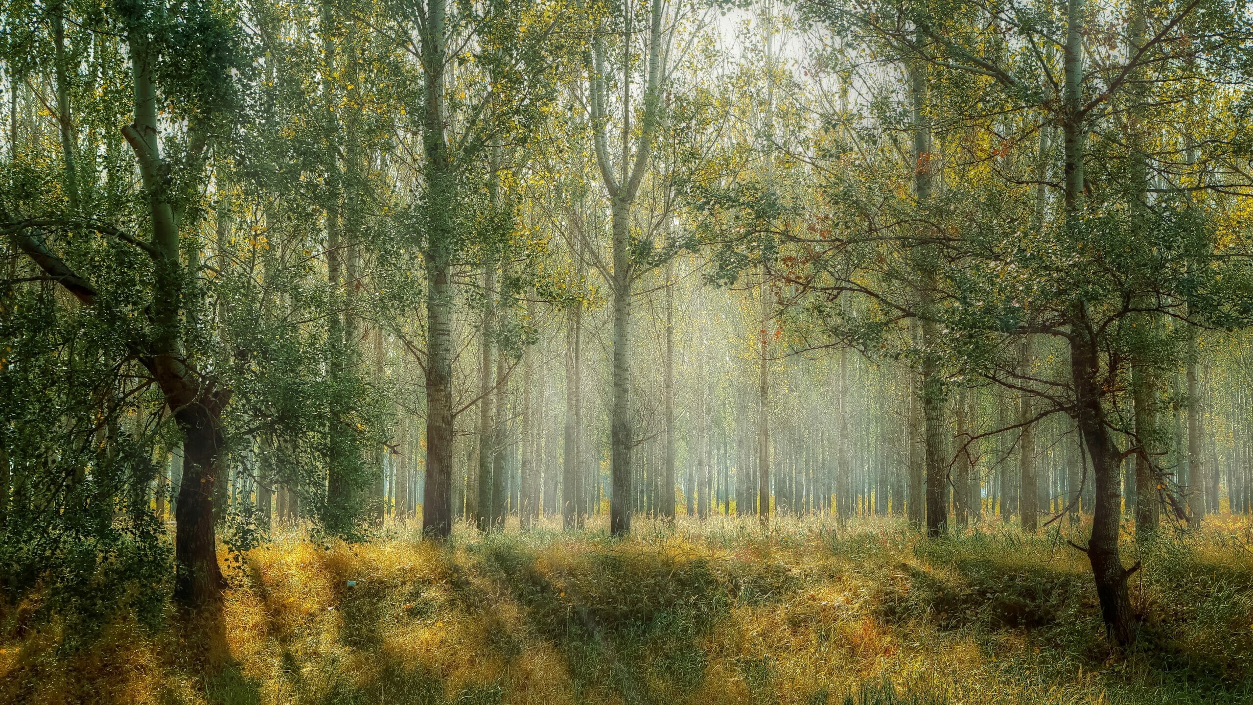 Sappiamo molto bene che la natura ci aiuta con ogni mezzo possibile
