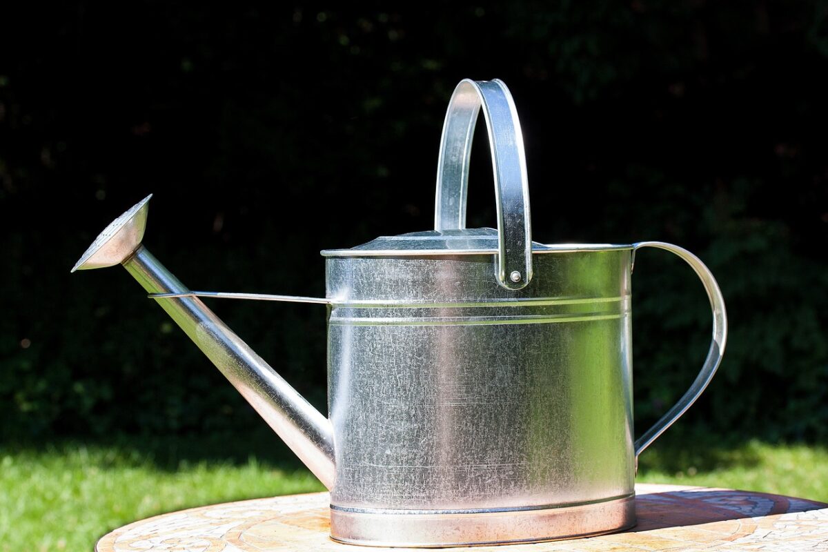 Serve un’acqua filtrata-proiezionidiborsa.it