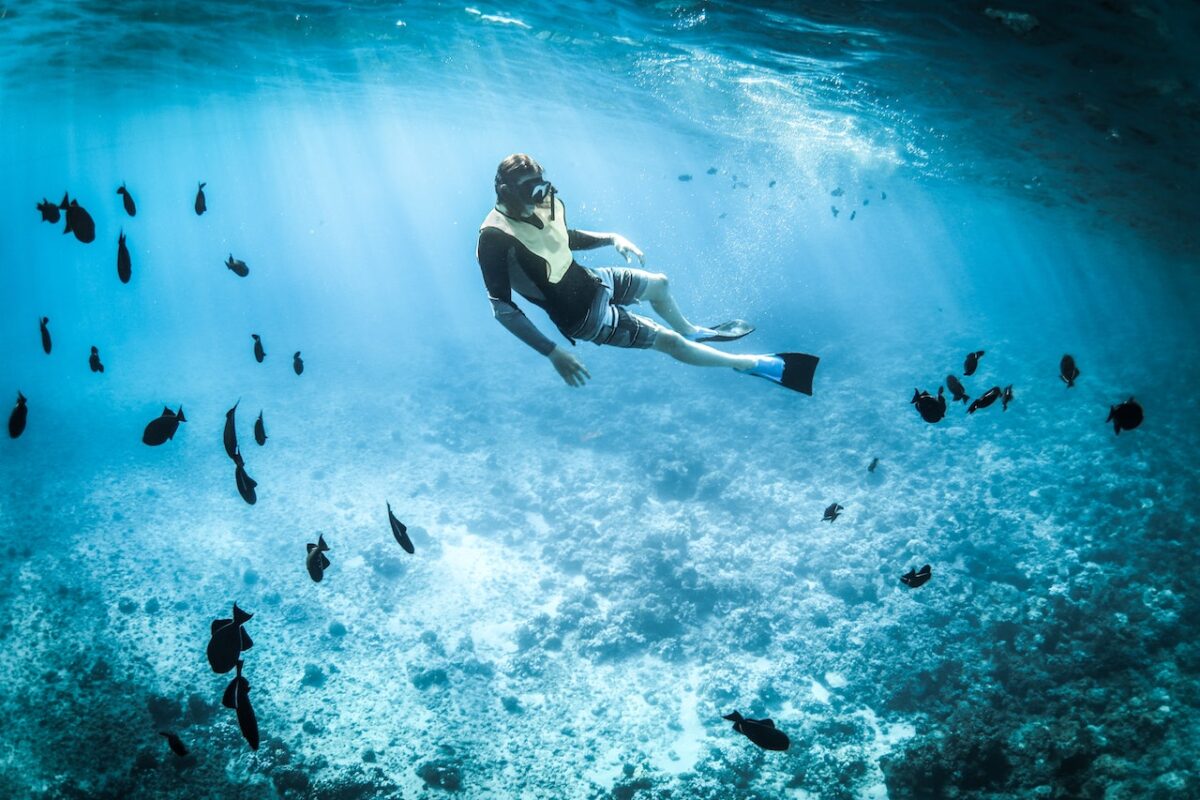 Snorkeling immersi tra i fondali-proiezionidiborsa.it