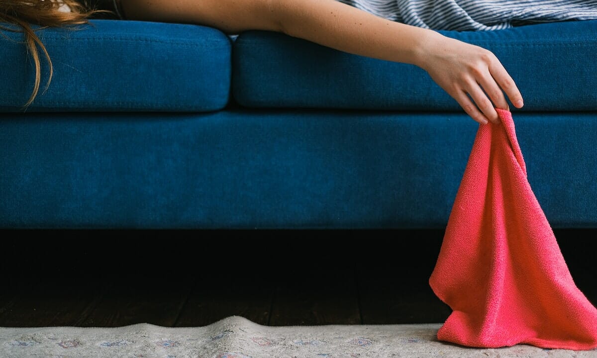 Spolverare è tra le faccende domestiche più noiose
