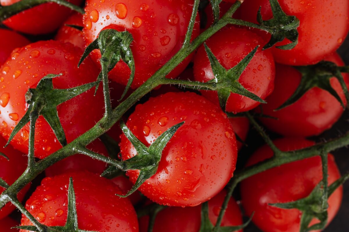 Tende a diventare troppo maturo in poco tempo