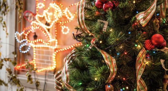 Trucchi geniali per conservare l’albero di Natale e gli addobbi