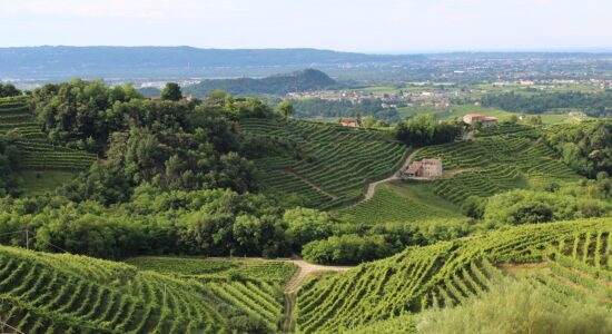 Una vacanza in Veneto tra Treviso e le colline-proiezionidiborsa.it