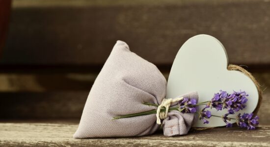  Vuoi coltivare la lavanda sul balcone