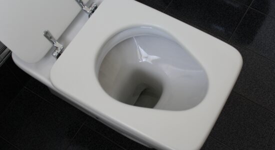 Calcare sulle pareti del WC
